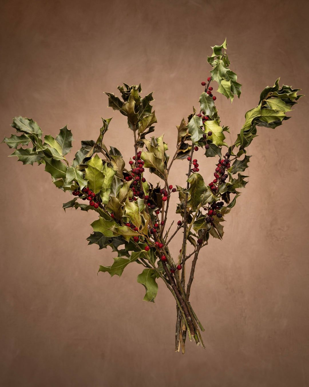 Holly is a tree-shrub hybrid with thick, leathery leaves featuring serrated edges and spiky tips. This variation boasts red berries and its evergreen status has led to a mystical reputation throughout time. This versatile decor adds a festive touch to any arrangement or wreath.