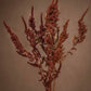 This feathery tip floral adds texture to any arrangement or space.