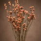 Statice, a flower that's known for its delicate papery petals in a variety of hues like purple, lavender, pink, white, and yellow. Its dense clusters of blooms make it perfect for dried flower arrangements because they keep their color even when dried.