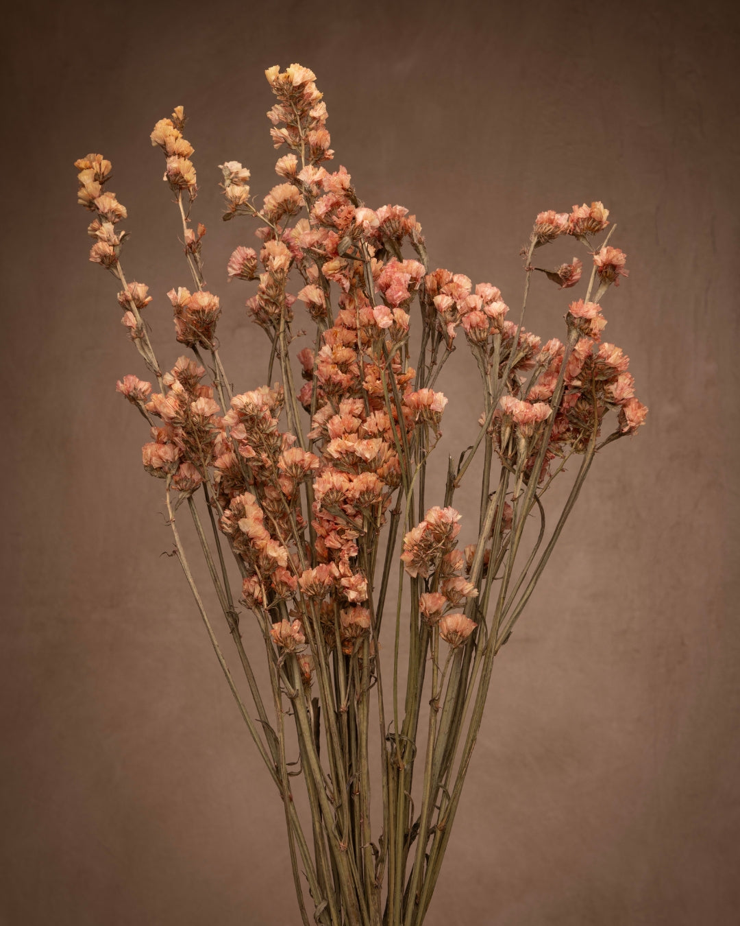 Statice, a flower that's known for its delicate papery petals in a variety of hues like purple, lavender, pink, white, and yellow. Its dense clusters of blooms make it perfect for dried flower arrangements because they keep their color even when dried.
